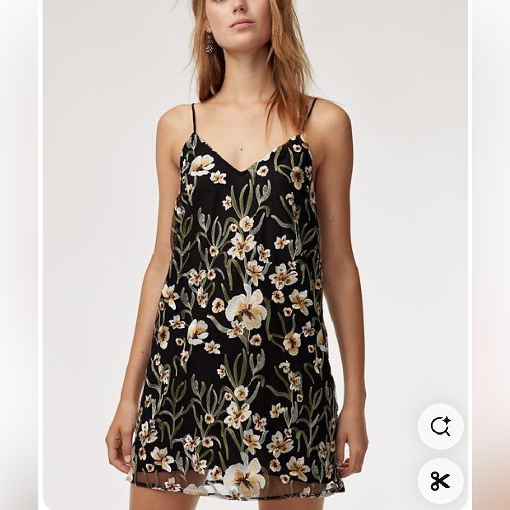 Aritzia dress